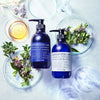 Biotin + Scalp Shampoo & Hair Treatment Set - Bella Tokyo